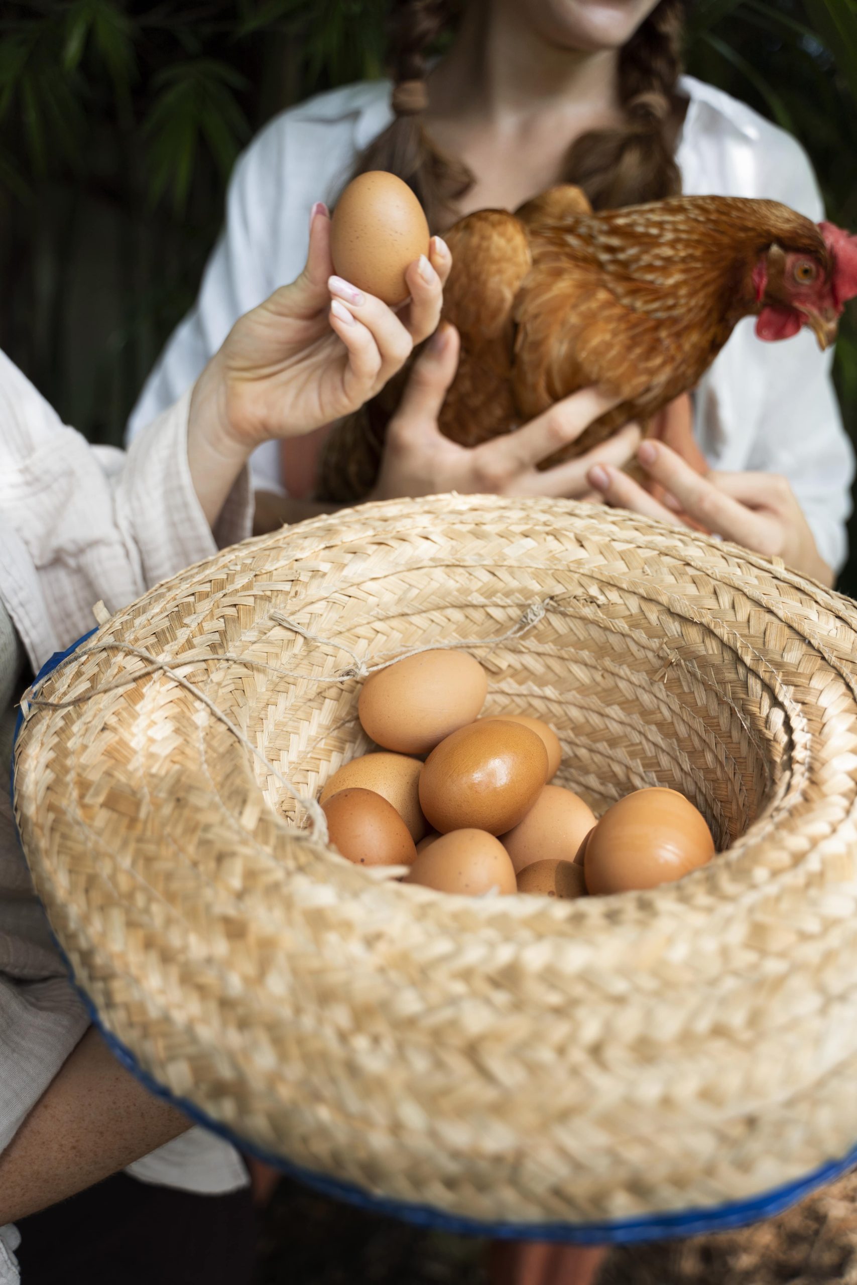 high-angle-woman-holding-eggs-min